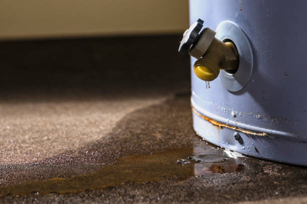 Best Residential water damage restoration  in Perham, MN