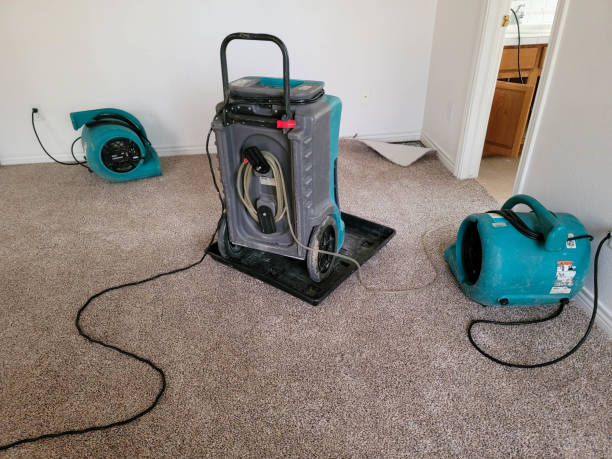 Best 24/7 water damage repair  in Perham, MN