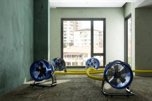 Best Commercial water damage restoration  in Perham, MN